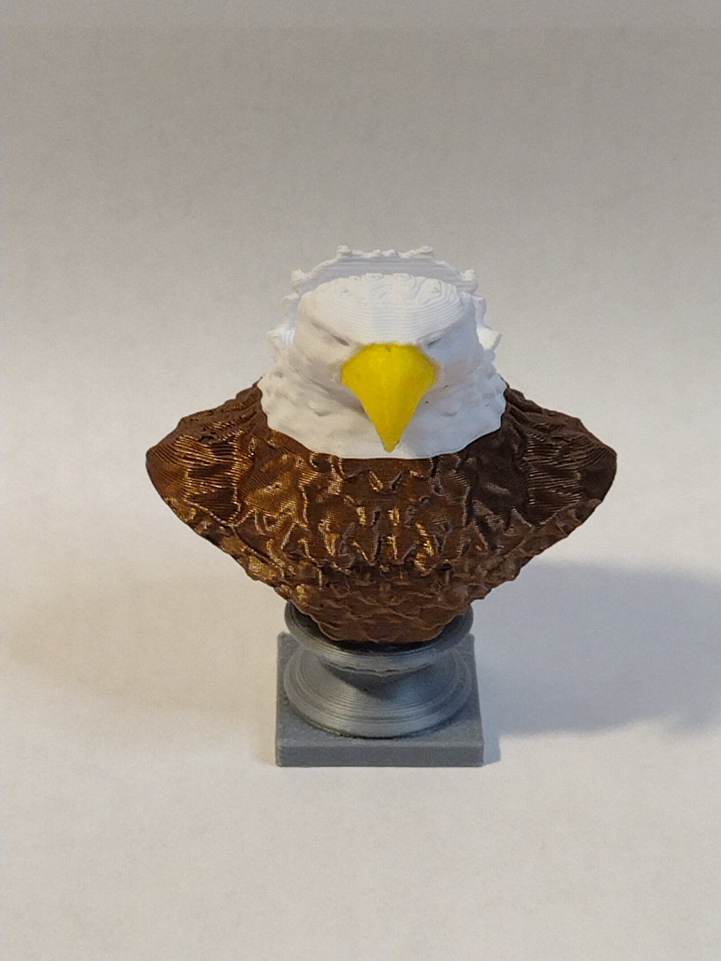 eagle bust coin holder