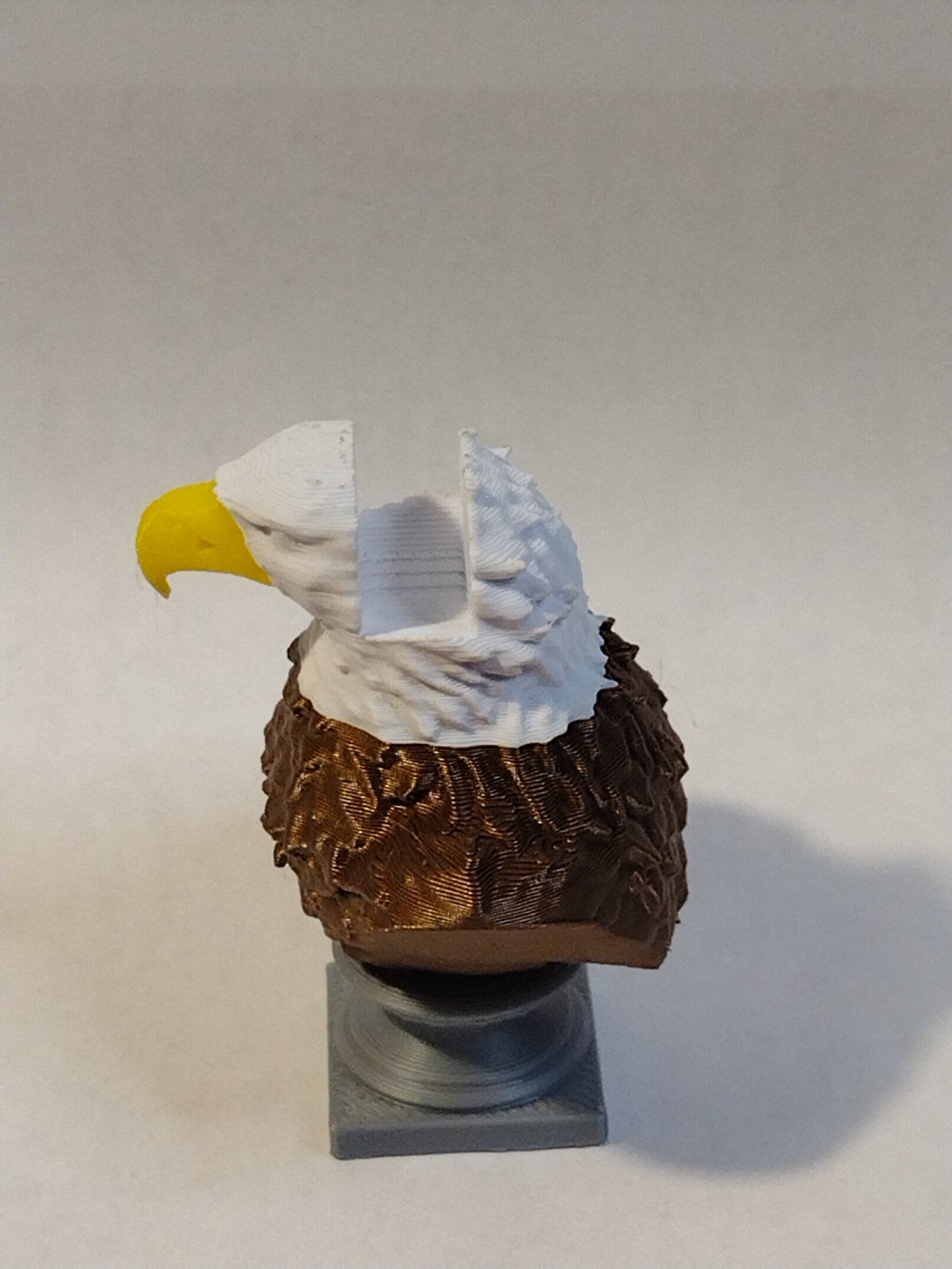 eagle bust coin holder